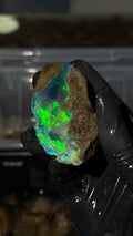 72gm Ethiopian Specimen Opal