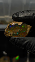 10gm Ethiopian Specimen Opal