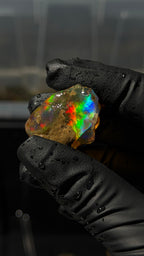 10gm Ethiopian Specimen Opal