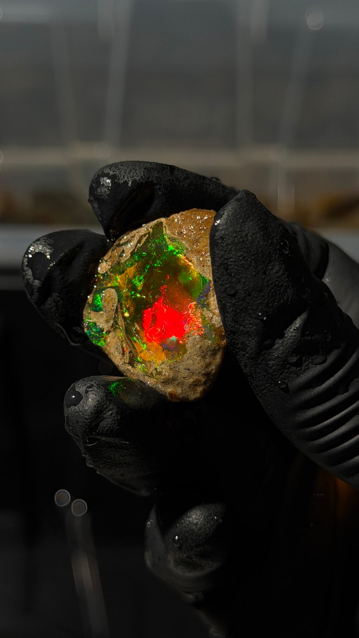 Ethiopian specimen water opal that displays vibrant, shifting colors including a bright red center and green edges.