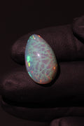11.31ct Polished Ethiopian Opal