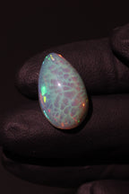 11.31ct Polished Ethiopian Opal