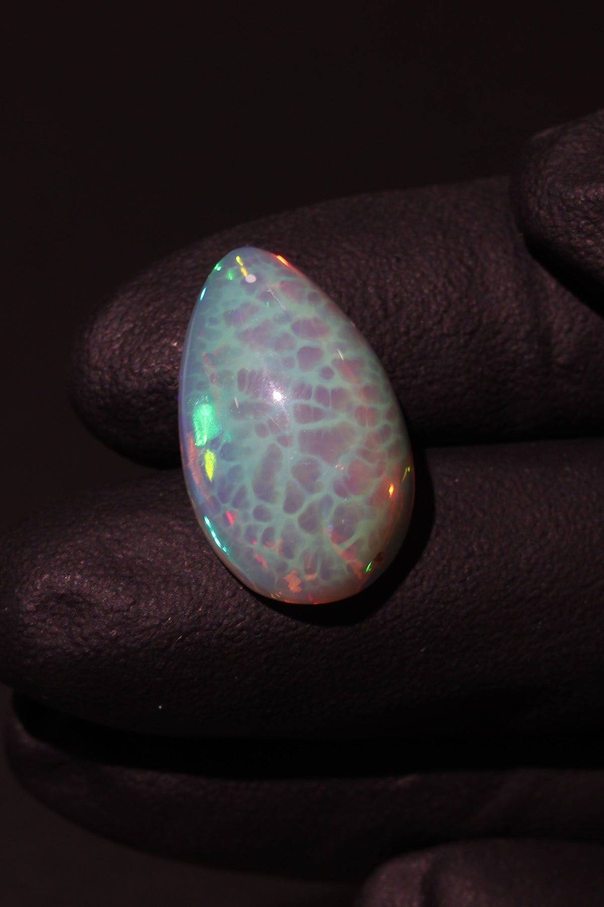 11.31ct Polished Ethiopian Opal