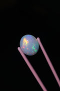7.74ct Polished Ethiopian Opal
