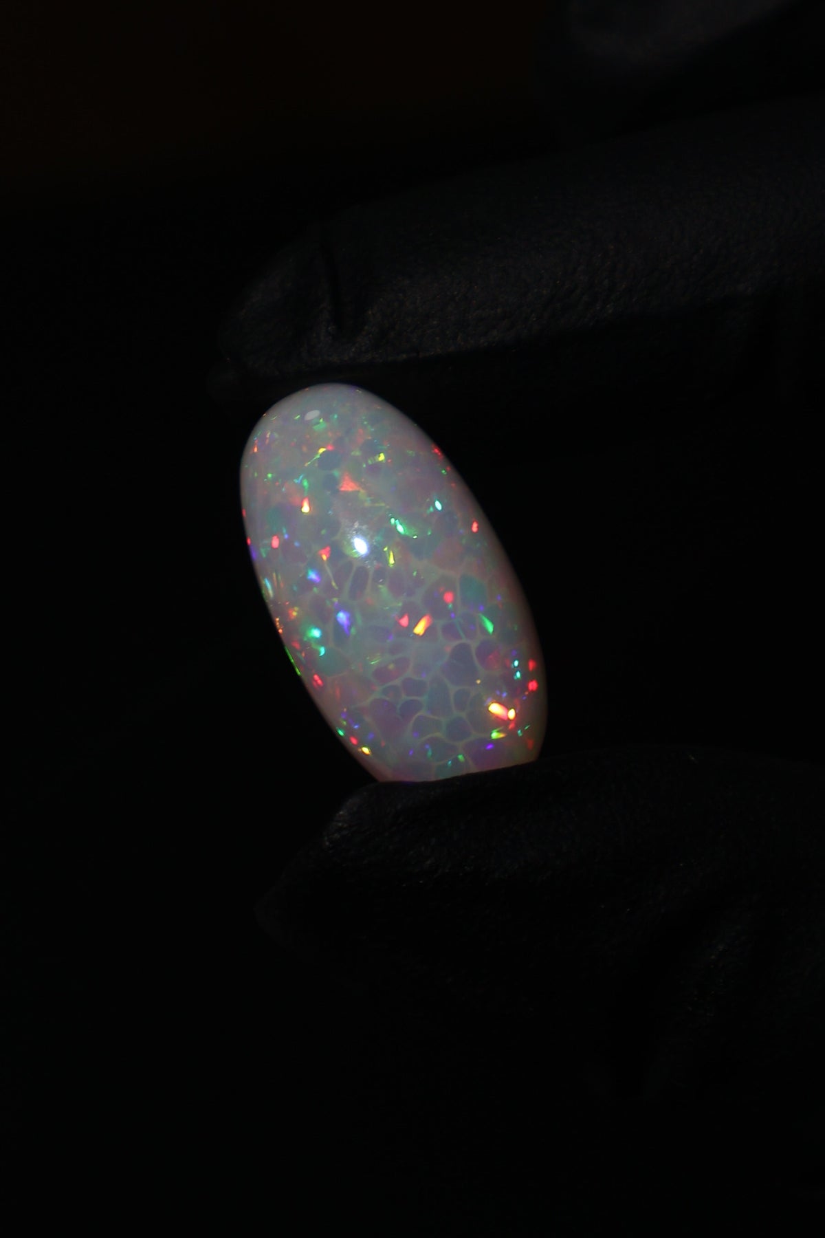 13.42ct Polished Ethiopian Opal