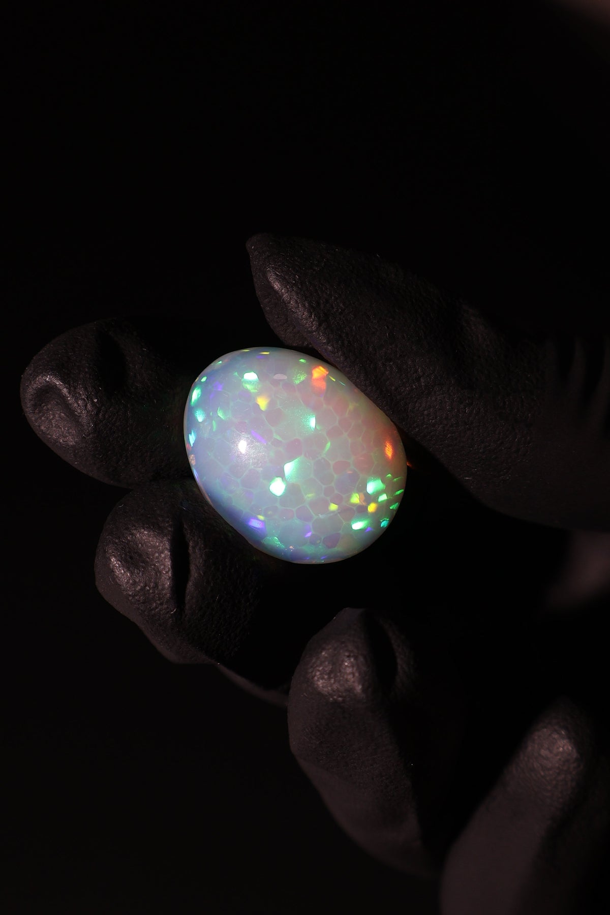 14.06ct Polished Ethiopian Opal