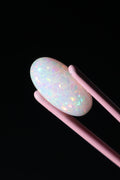 13.42ct Polished Ethiopian Opal