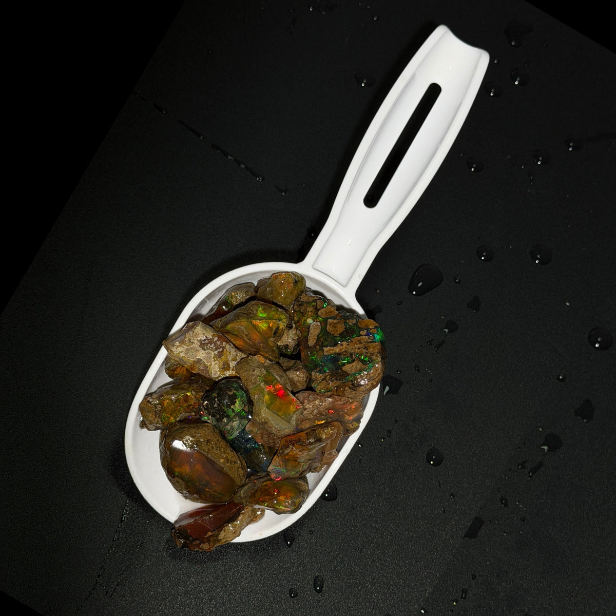 The Opal Scoop - Regular