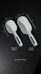 The Opal Scoop - Regular
