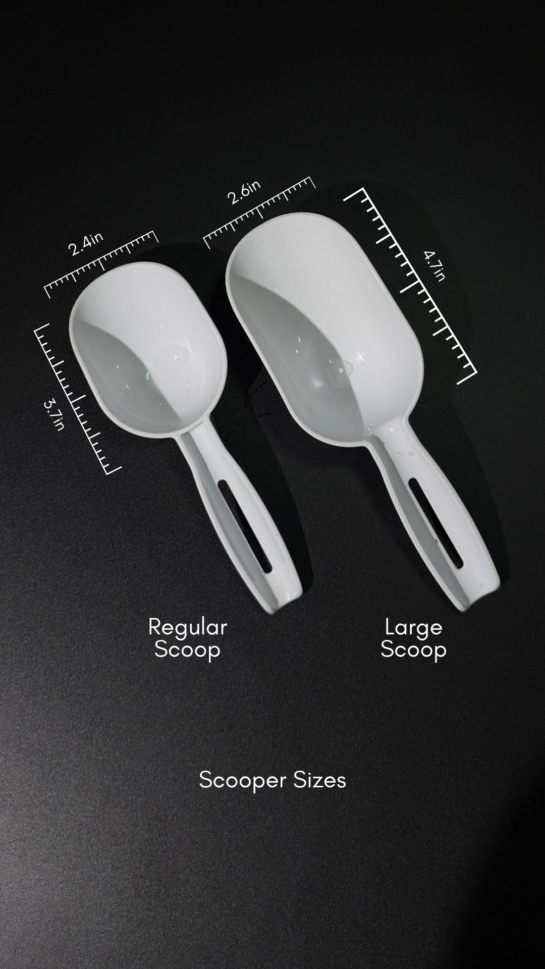 The Opal Scoop - Regular