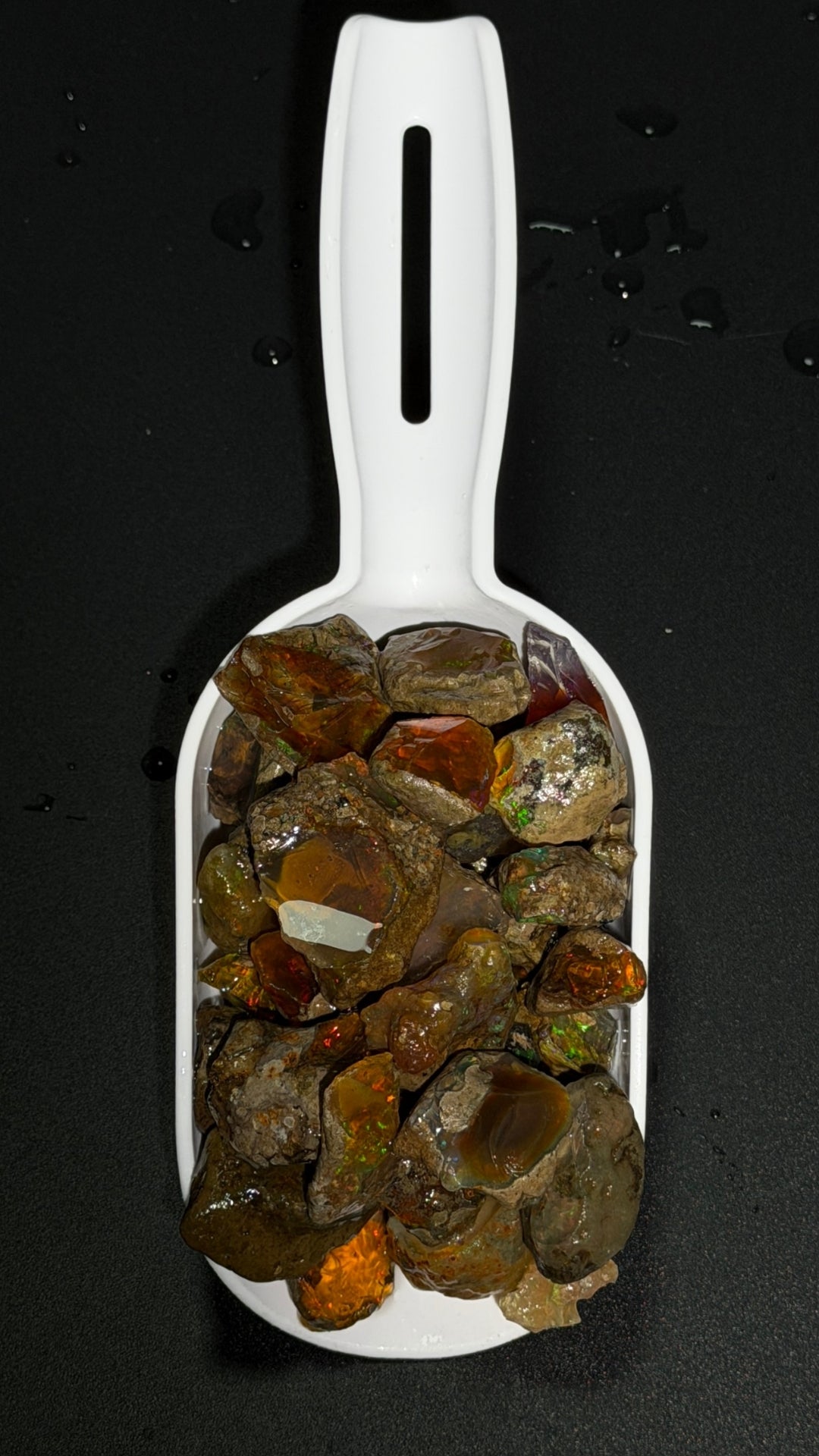 The Opal Scoop - Large