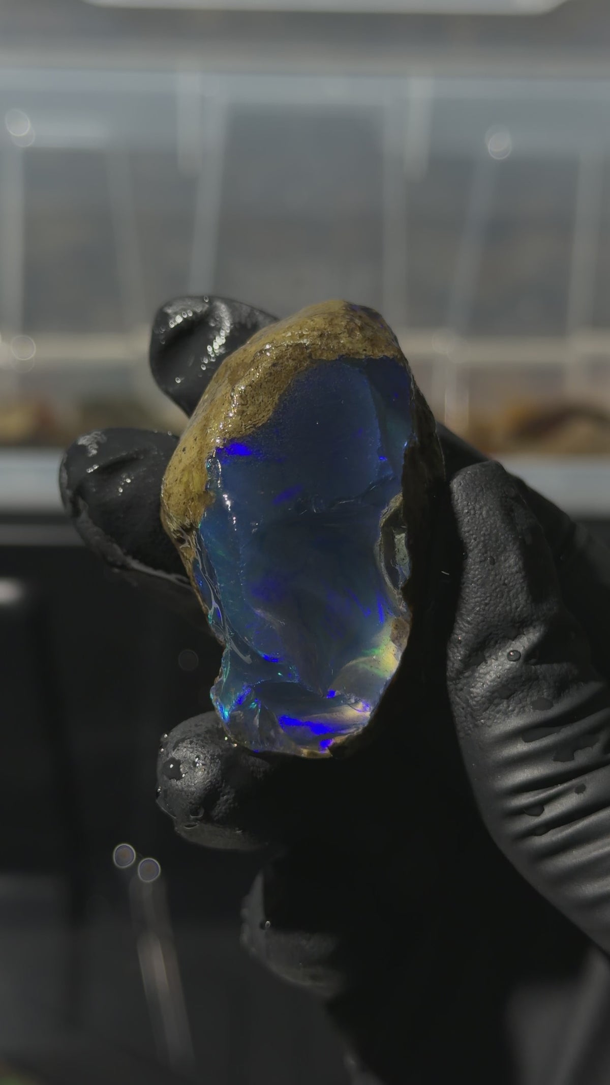 42gm Ethiopian Specimen Opal