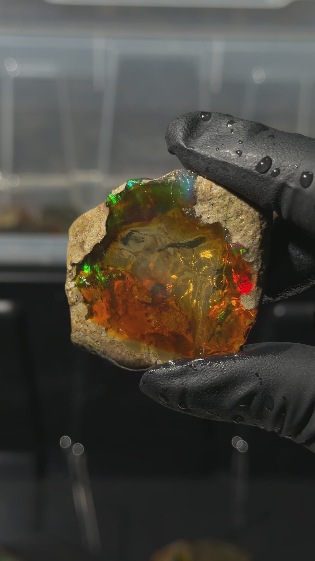 24gm Ethiopian Specimen Opal