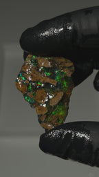 13.5gm Ethiopian Rough Water Opal Specimen