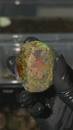 70gm Ethiopian Specimen Opal
