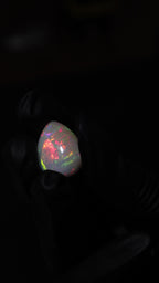 10.80ct Polished Ethiopian Opal