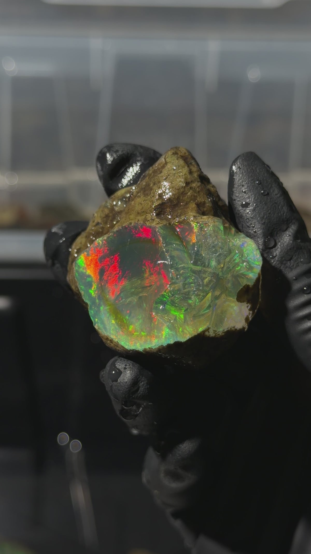 50gm Ethiopian Specimen Opal