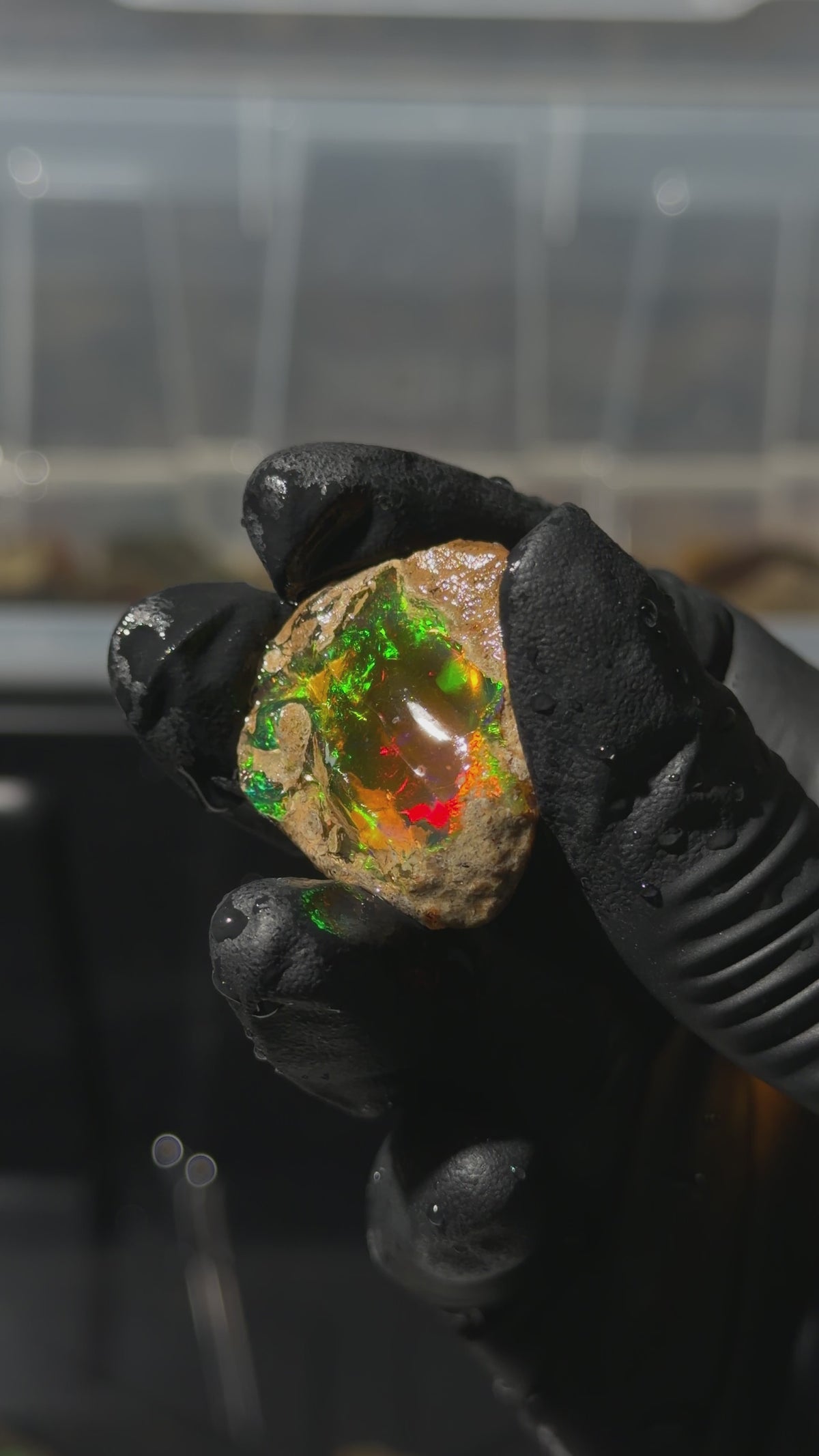 8gm Ethiopian Specimen Opal