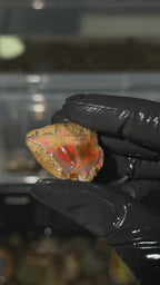 72gm Ethiopian Specimen Opal