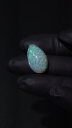 11.31ct Polished Ethiopian Opal