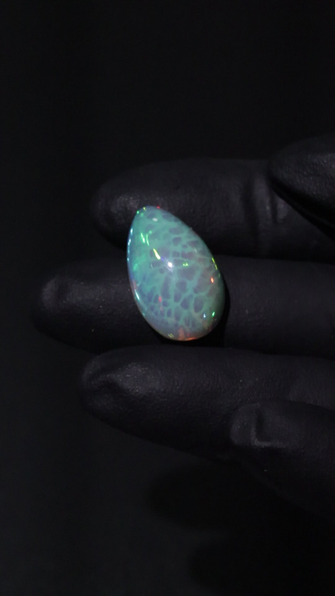 11.31ct Polished Ethiopian Opal