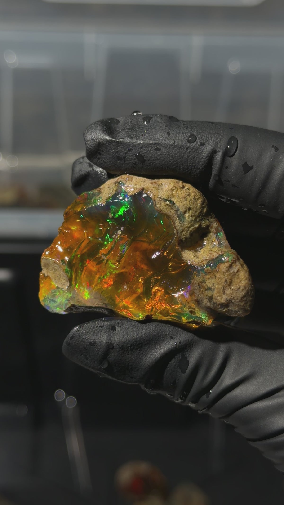 26gm Ethiopian Specimen Opal