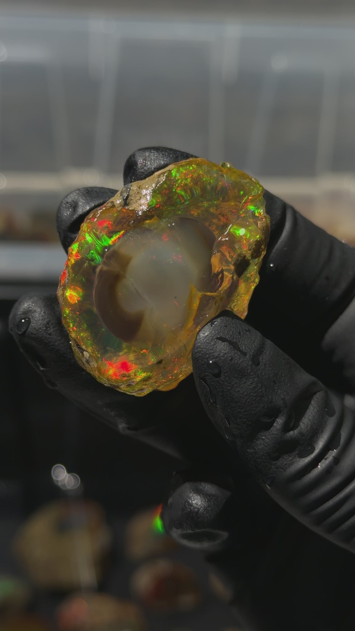 30gm Ethiopian Specimen Opal