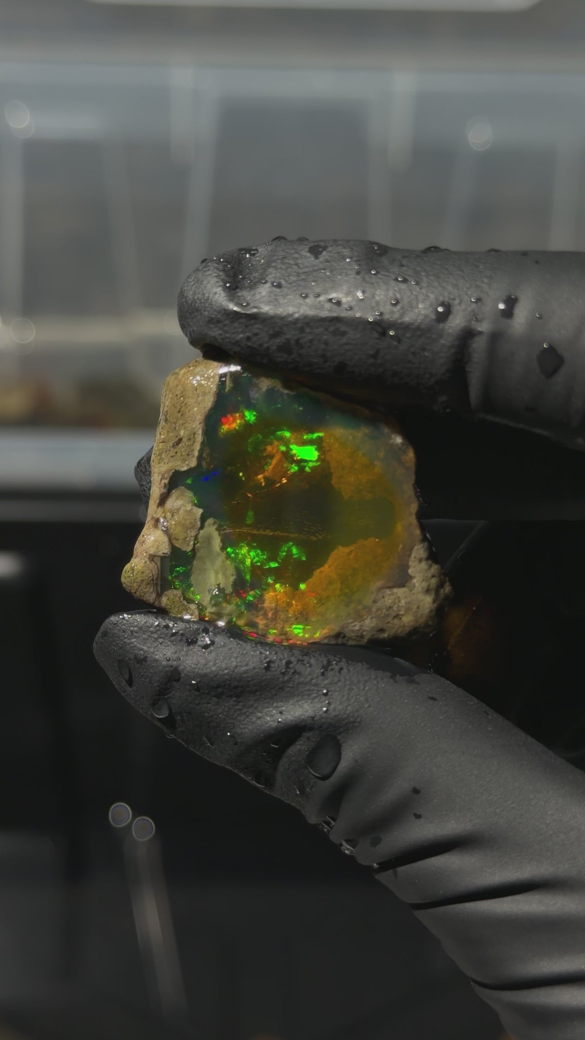 8gm Ethiopian Rough Water Opal Specimen