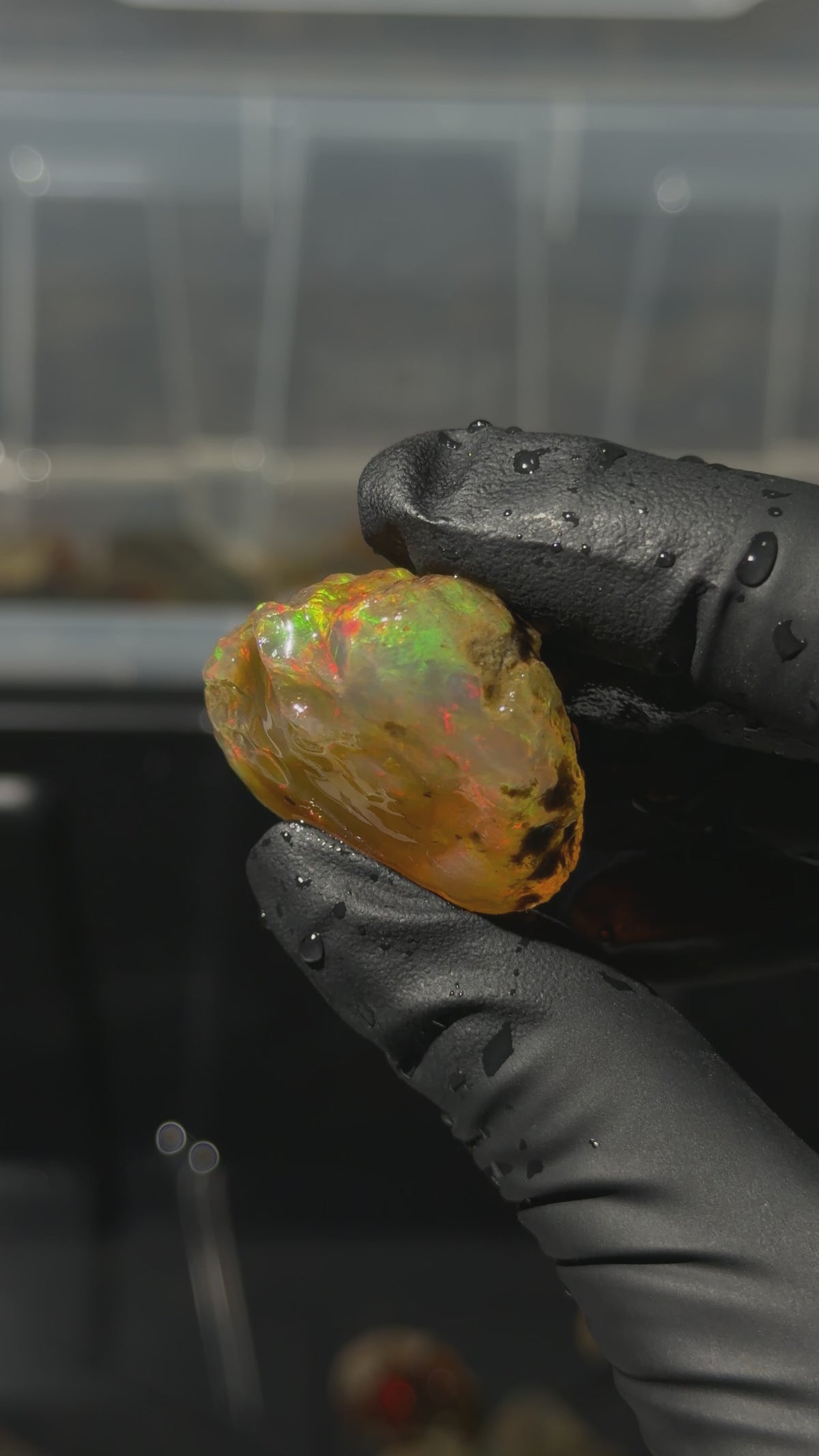 18gm Ethiopian Specimen Opal