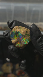 20gm Ethiopian Specimen Opal