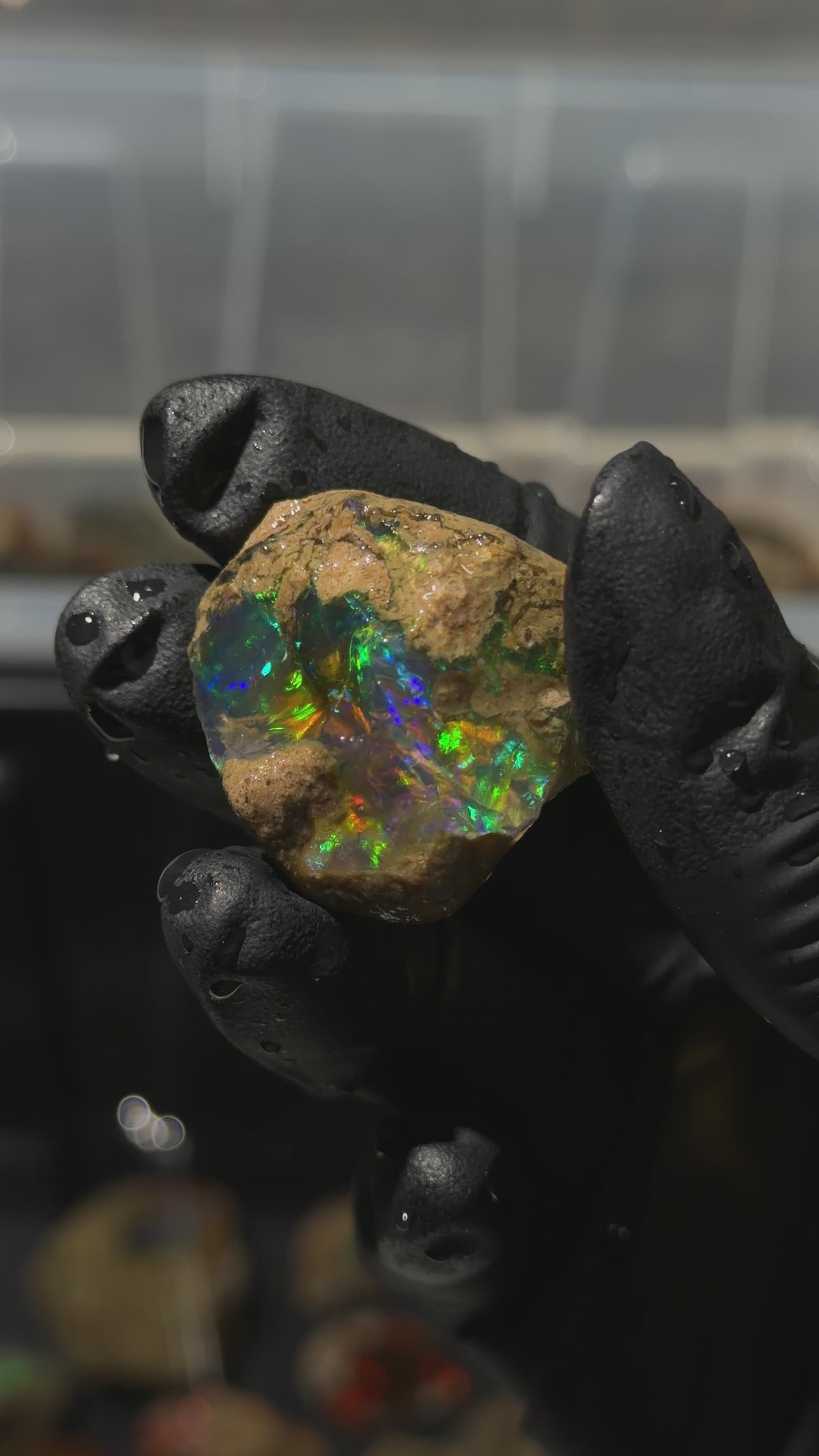20gm Ethiopian Specimen Opal