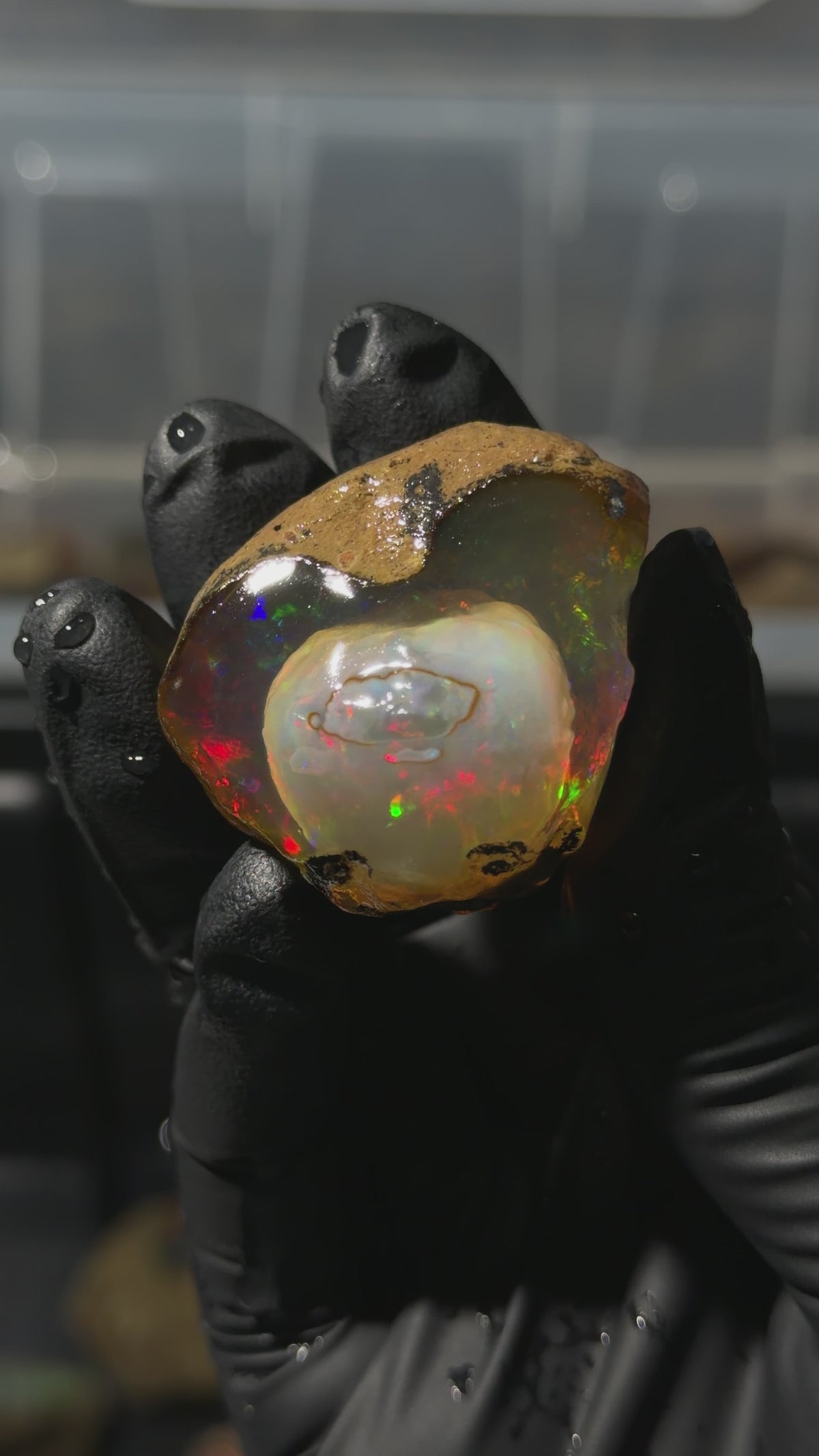 38gm Ethiopian Specimen Opal