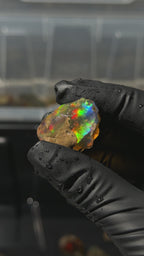 10gm Ethiopian Specimen Opal
