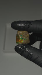 14.5gm Ethiopian Rough Water Opal Specimen