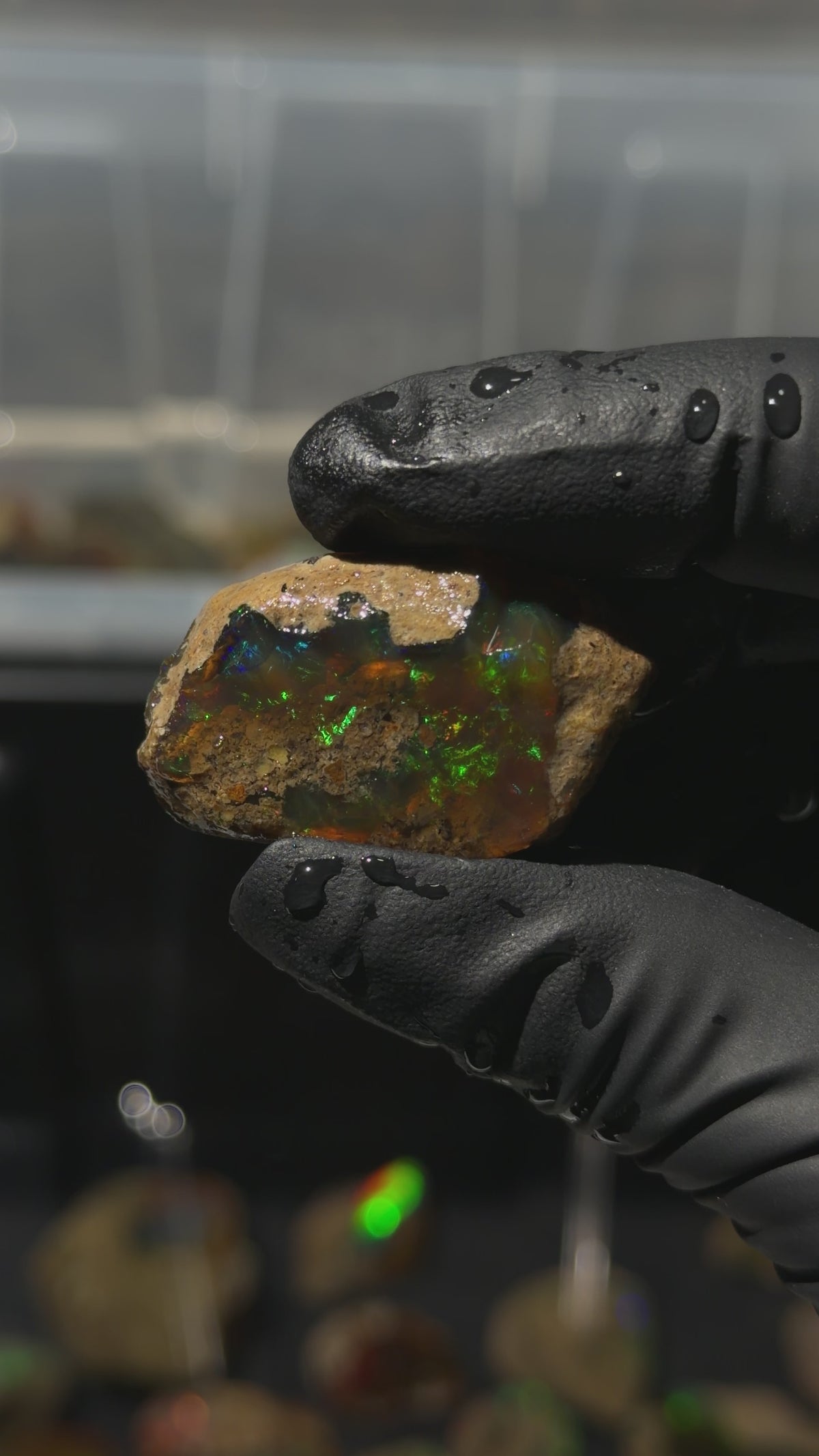 10gm Ethiopian Specimen Opal
