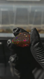 8gm Ethiopian Specimen Opal