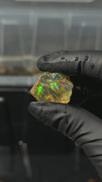 6gm Ethiopian Specimen Opal
