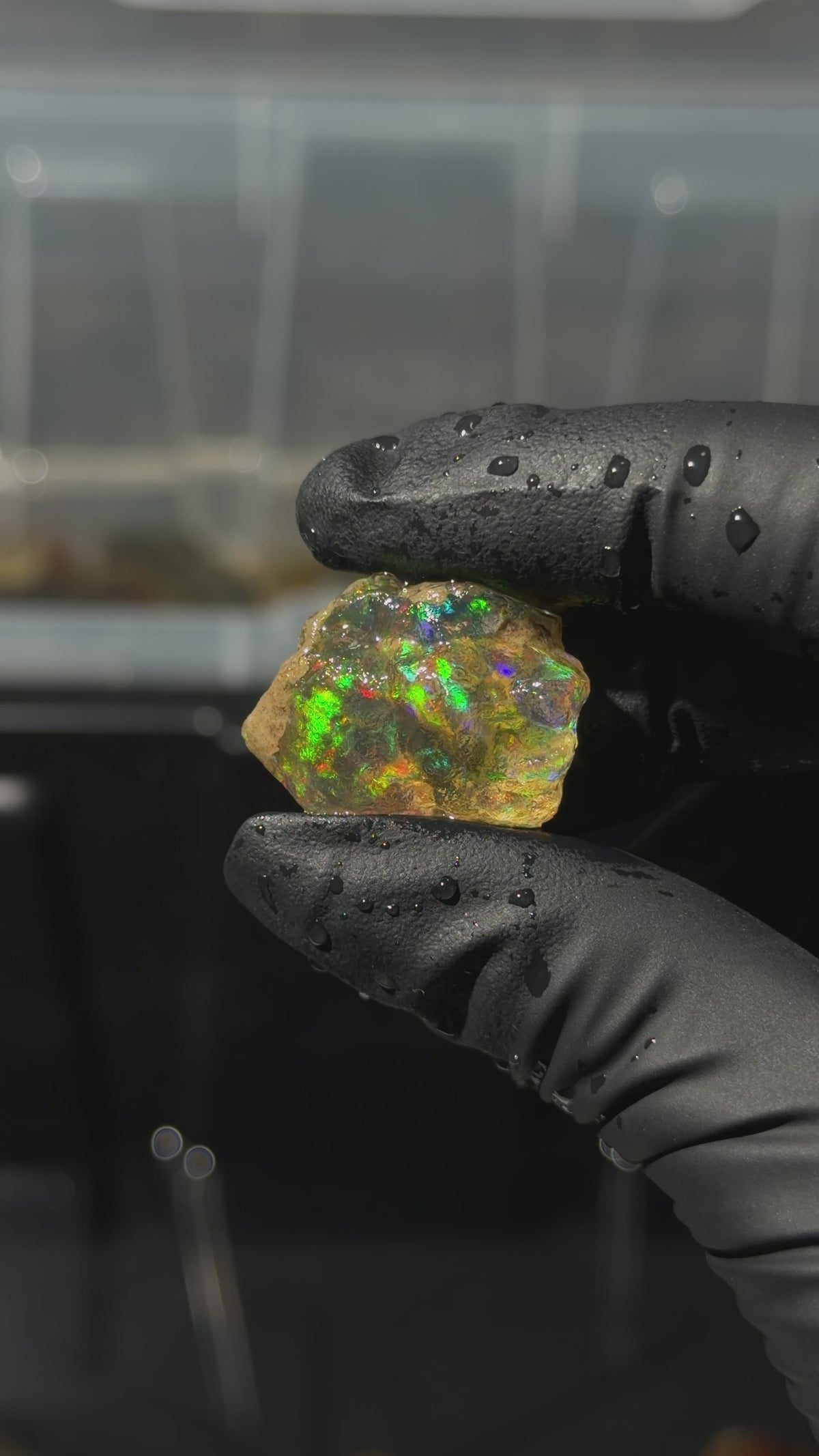 6gm Ethiopian Specimen Opal