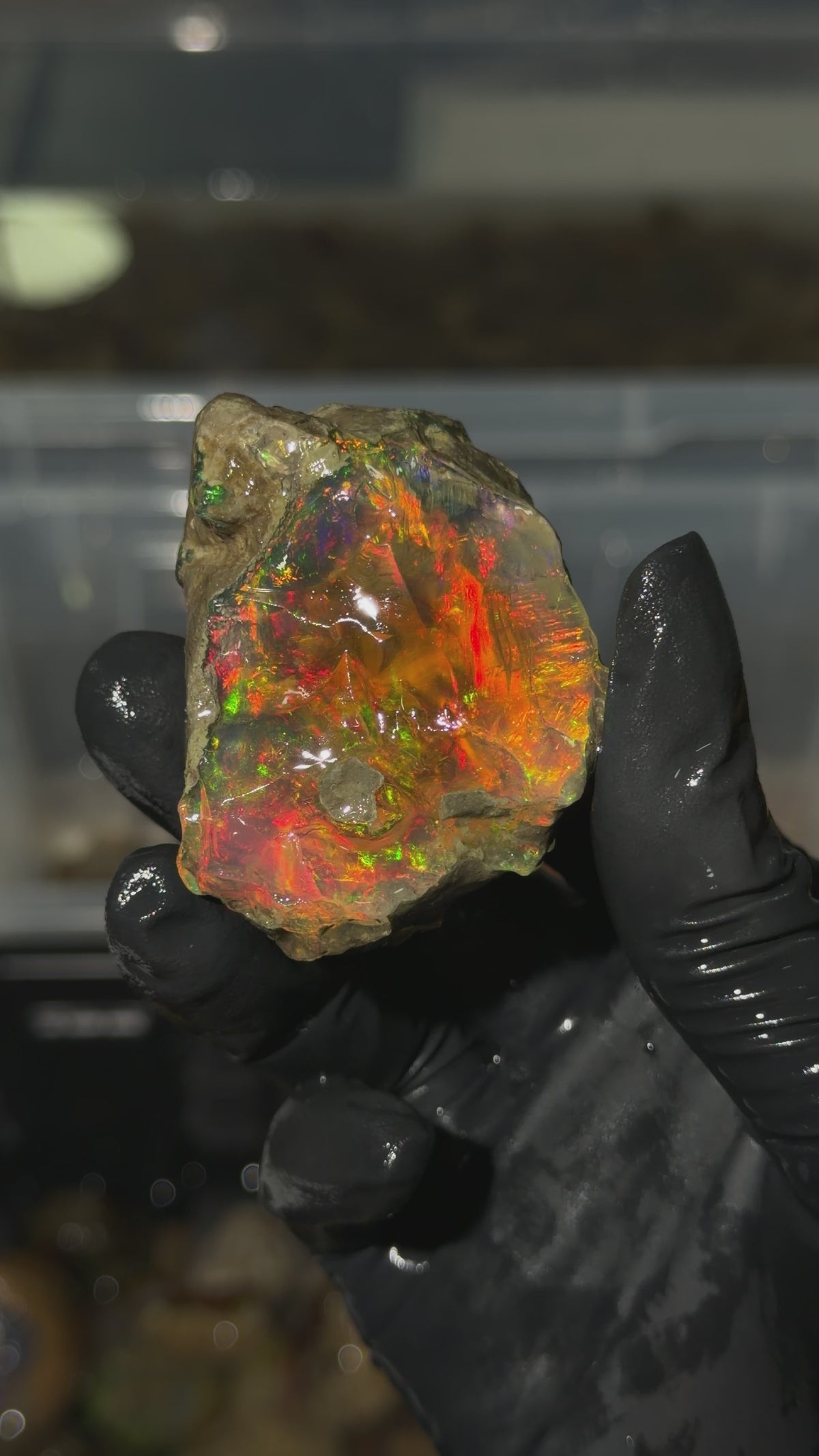 72gm Ethiopian Rough Water Opal Specimen