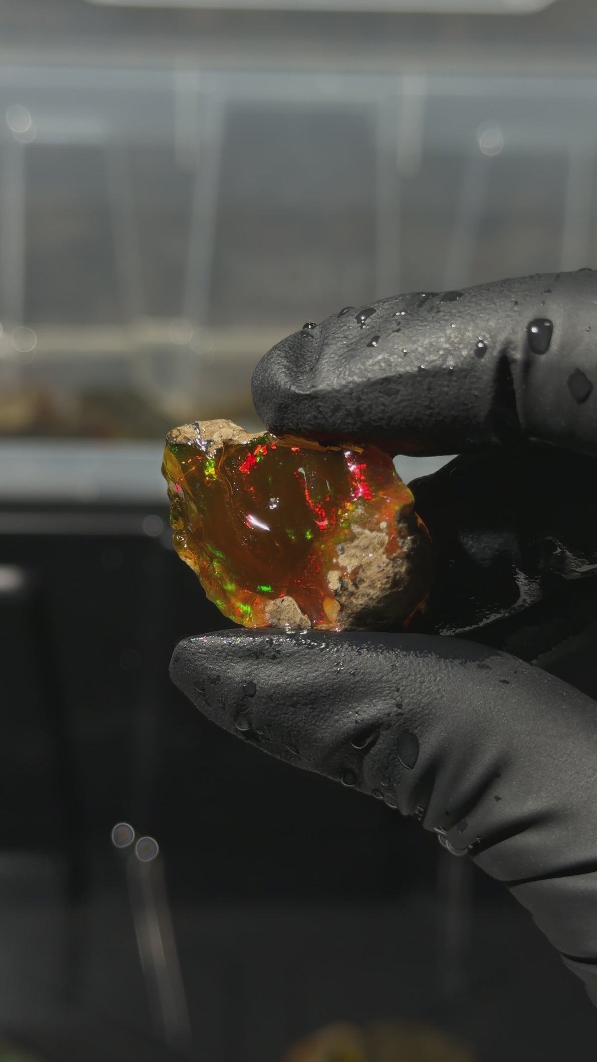 7gm Ethiopian Specimen Opal
