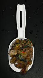 The Opal Scoop - Regular